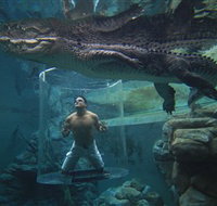 Crocosaurus Cove - Accommodation Great Ocean Road