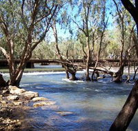 Low Level Nature Reserve - Accommodation Great Ocean Road