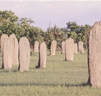 Magnetic Termite Mounds - Accommodation Great Ocean Road