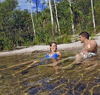 Tjaynera/Sandy Creek Falls - Accommodation Great Ocean Road