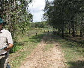 Coombabah QLD Accommodation Great Ocean Road