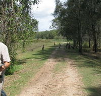 Coombabah Lakes Conservation Area - Accommodation Great Ocean Road
