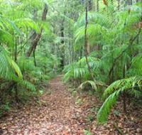 Delicia Road Conservation Park - Accommodation Great Ocean Road