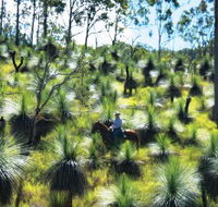 Bicentennial National Trail - Section 5 - Accommodation Great Ocean Road