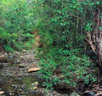 Mudlo National Park - Accommodation Great Ocean Road