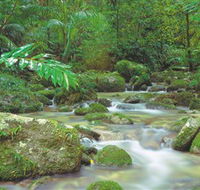 Mossman Gorge Daintree National Park - Accommodation Great Ocean Road