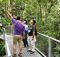 Daintree Discovery Centre - Accommodation Great Ocean Road