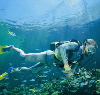 Tijou Reef - Accommodation Great Ocean Road