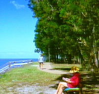 Melaleuca Track - Accommodation Great Ocean Road