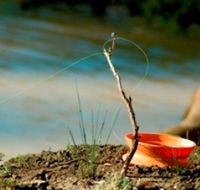 Charleville - Mangalore Warrego River Fishing Spot - Accommodation Great Ocean Road
