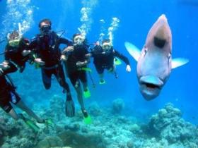 Gotham City Dive Site - Accommodation Great Ocean Road 0