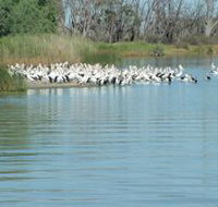Lake Ross - Accommodation Great Ocean Road