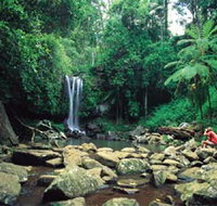 Tamborine National Park - Accommodation Great Ocean Road