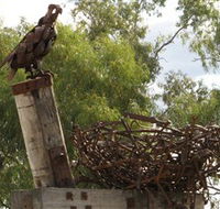 Blackall Sculpture Trail - Accommodation Great Ocean Road
