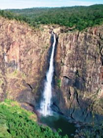 Buujan Quiinbiira Walk (Wet Tropics Great Walk) - Accommodation Great Ocean Road 0