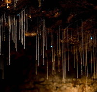 Cedar Creek Estate - Accommodation Great Ocean Road
