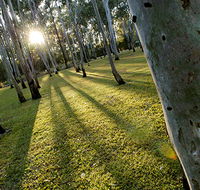 Tondoon Botanic Gardens - Accommodation Great Ocean Road