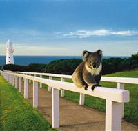 Cape Otway Lightstation - Accommodation Great Ocean Road