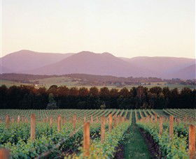 Domaine Chandon - Accommodation Great Ocean Road 0