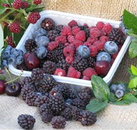 Bright Berry Farms - Accommodation Great Ocean Road