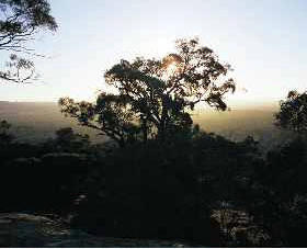 Yarra Flats - Accommodation Great Ocean Road 0
