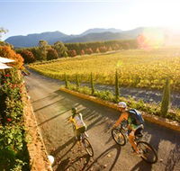 Boyntons Feathertop Winery - Accommodation Great Ocean Road