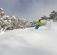 Mt Buller and Mt Stirling Alpine Resort - Accommodation Great Ocean Road