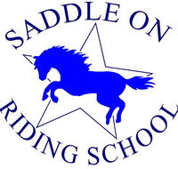 Saddle On Riding School - Accommodation Great Ocean Road