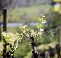 Kyneton Ridge Estate - Accommodation Great Ocean Road