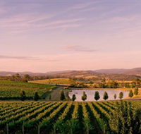 Oakridge Wines - Accommodation Great Ocean Road
