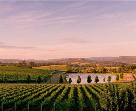 Oakridge Wines - Accommodation Great Ocean Road 0