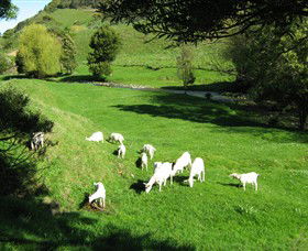 Goats Of Gaia Soap - Accommodation Great Ocean Road 0