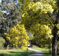 Wattle Park - Accommodation Great Ocean Road
