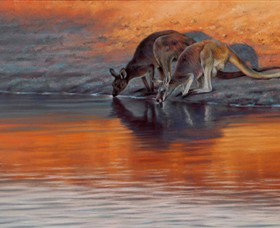 Steve Morvell Wildlife Art - Accommodation Great Ocean Road 0