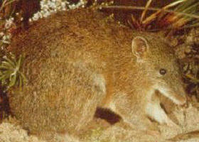 Frankston North VIC Accommodation Great Ocean Road