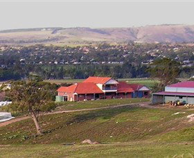 Bacchus Hill Winery - Accommodation Great Ocean Road 0