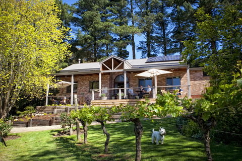 Main Ridge Estate - Accommodation Great Ocean Road 2