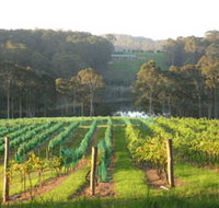 Tilba Valley Wines - Accommodation Great Ocean Road