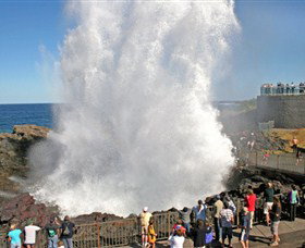 Kiama Blowhole - Accommodation Great Ocean Road 0