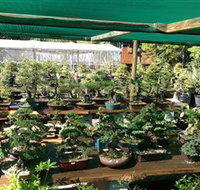 Bonsai at the Bay - Accommodation Great Ocean Road