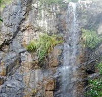 Wedding Bells Forest Drive - Accommodation Great Ocean Road
