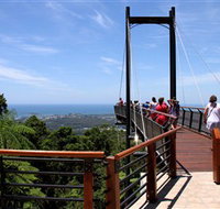 Sealy Lookout - Accommodation Great Ocean Road