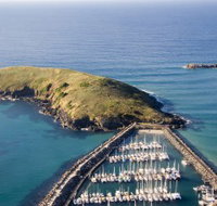 Muttonbird Island Nature Reserve - Accommodation Great Ocean Road