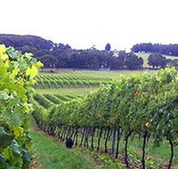 Banjo's Run Winery and Vineyard - Accommodation Great Ocean Road
