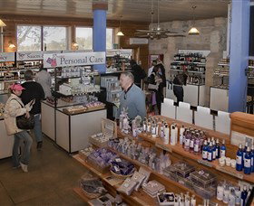 Pokolbin Estate Vineyard - Accommodation Great Ocean Road 2