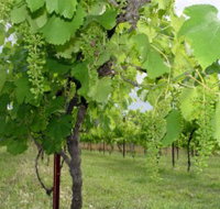 Holland Wines - Accommodation Great Ocean Road