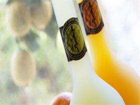 Ambra Limoncello - Accommodation Great Ocean Road 0