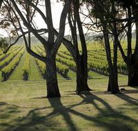 Henry's Drive Vignerons - Accommodation Great Ocean Road