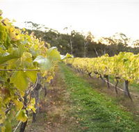 Harcourt Valley Vineyards - Accommodation Great Ocean Road
