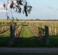 Water Wheel Vineyards - Accommodation Great Ocean Road